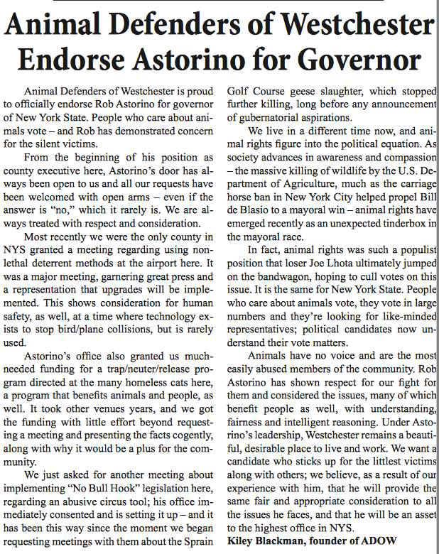 ADOW Rob Astorino