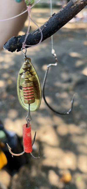 wildlife injury
