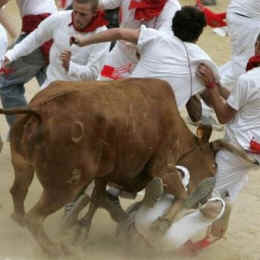 running bulls Pamplona