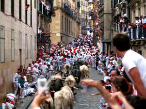 running bulls Pamplona