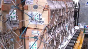 primate transport cargo NEAVS