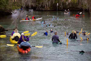 manatee warm springs sanctuary