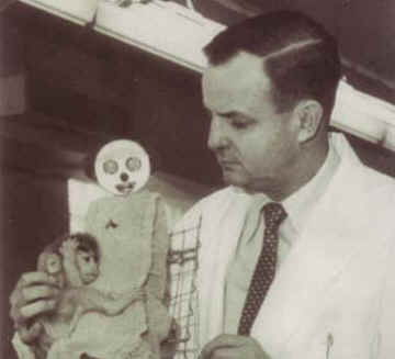 Harry Harlow maternal deprivation