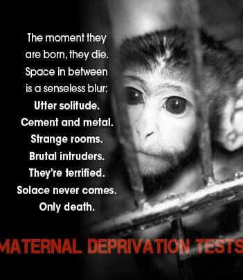 maternal deprivation kinship circle