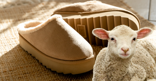 ugg shoes and lamb