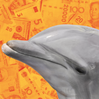 dolphin and currency