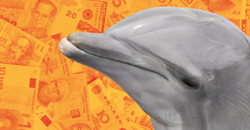 dolphin and currency