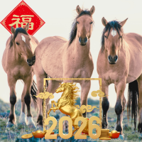 horses