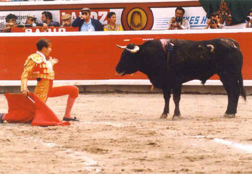 Cattle Exploitation - Bullfighting - 08