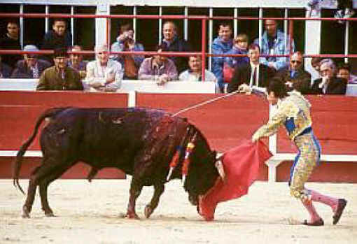 Cattle Exploitation - Bullfighting - 13