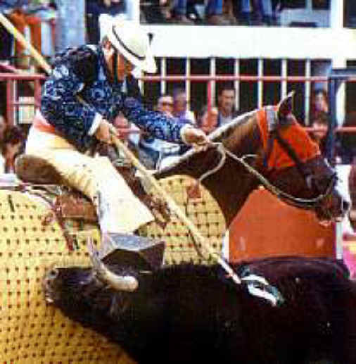 Cattle Exploitation - Bullfighting - 14