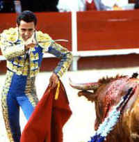 Cattle Exploitation - Bullfighting - 15
