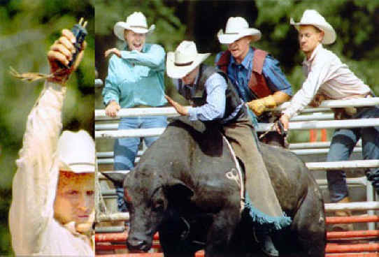 Cattle Exploitation - Rodeo - Bull Riding - 01