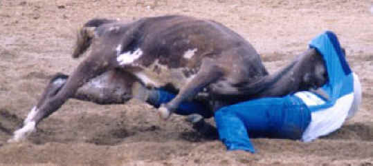 Cattle Exploitation - Rodeo - Steer Wrestling - 01