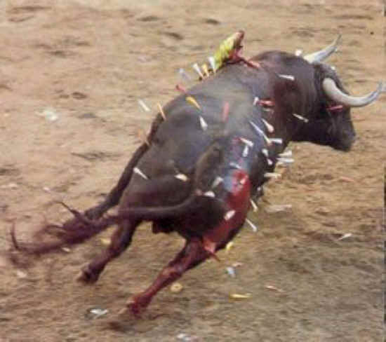 Cattle Exploitation - Torture - 11