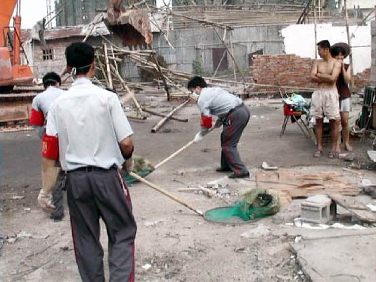 Dog Exploitation - Cruelty - 36