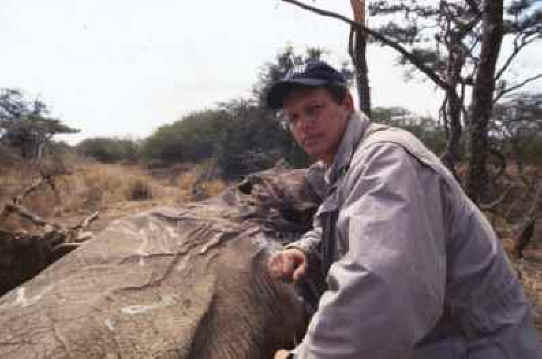 Elephant Exploitation - Ivory - 01