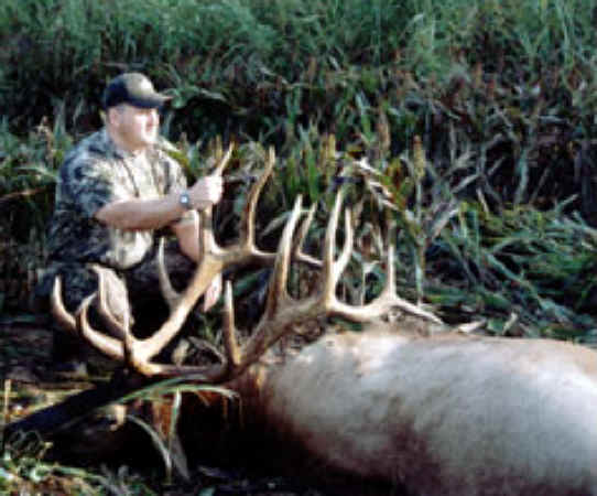 Elk Exploitation - Canned and Trophy Hunting - 06