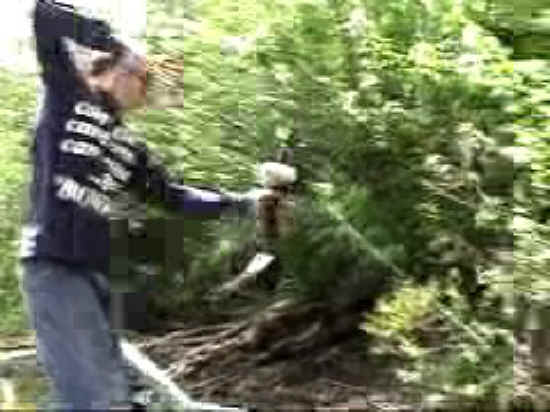 Fish - Bow Fishing - 01