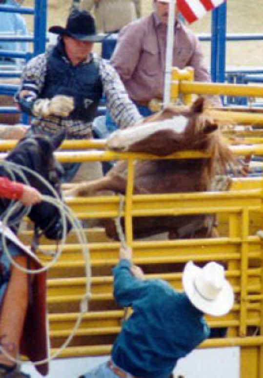 Rodeo - Horse Bucking - 01