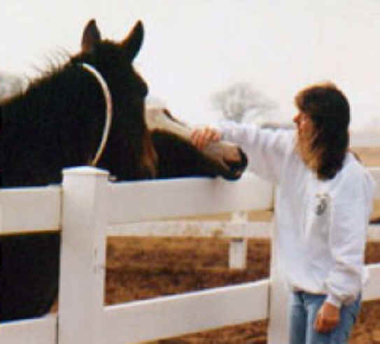 Rodeo - Horse Bucking - 09