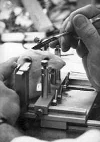 Mice and Rats - Research - 09