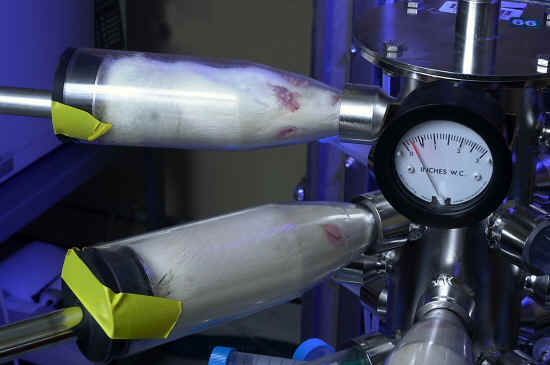 Mice and Rats - Research - 11