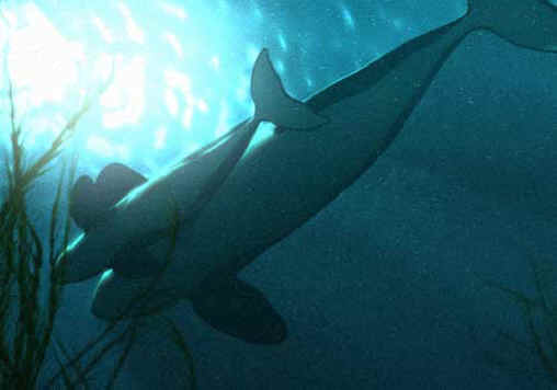 Orca Exploitation - Wishful Thinking - 04