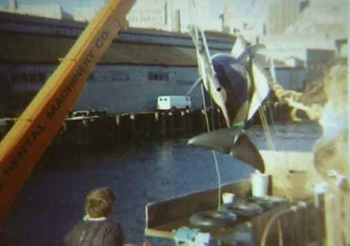 Orca Exploitation - Entertainment - 04