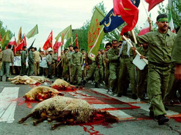 Sheep and Lambs - Slaughter - 17