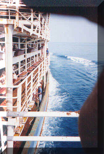 Sheep and Lambs - Transport - 13