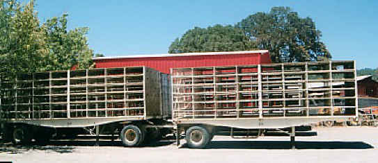 Turkey - Free Range  Myth - 16
