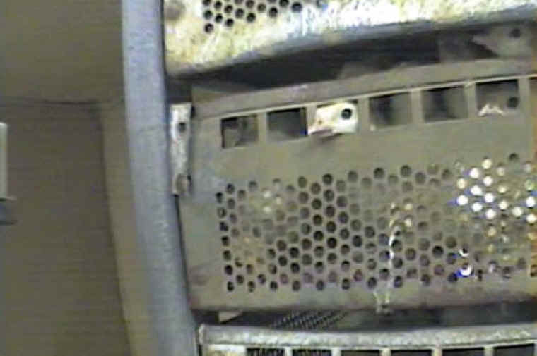 Turkey Hatchery - 04