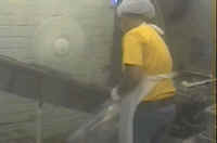 Turkey - Hatchery Disposal - 01