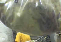 Turkey - Hatchery Disposal - 04