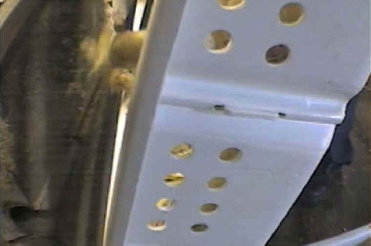 Turkey Hatchery Disposal - 06