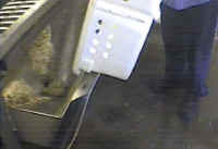 Turkey - Hatchery Disposal - 08