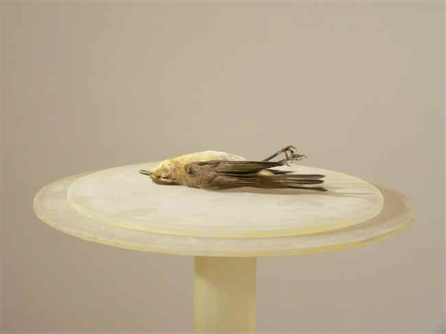 Artwork - 009 - So That We May Live