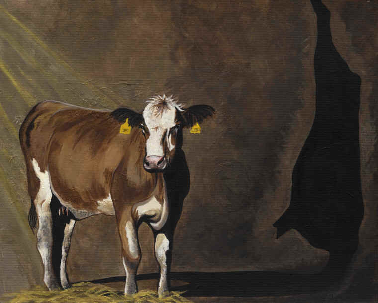Twyla Francois cow shadow