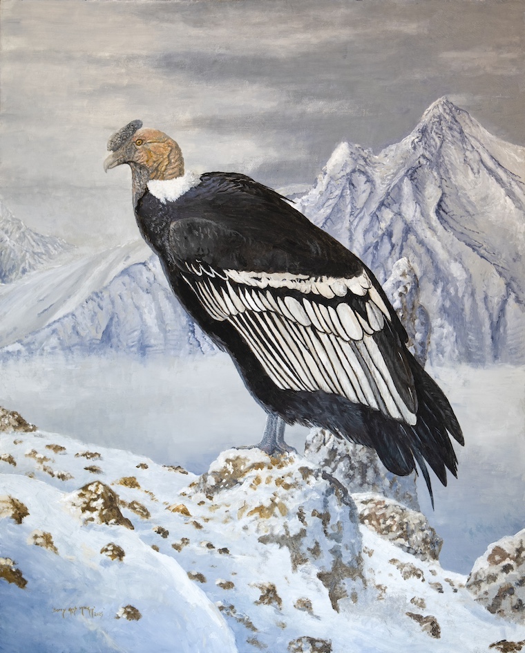 bird painting