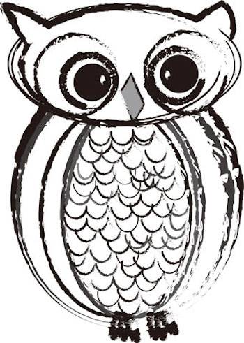 owl