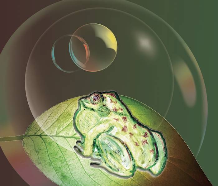 froggie dreaming