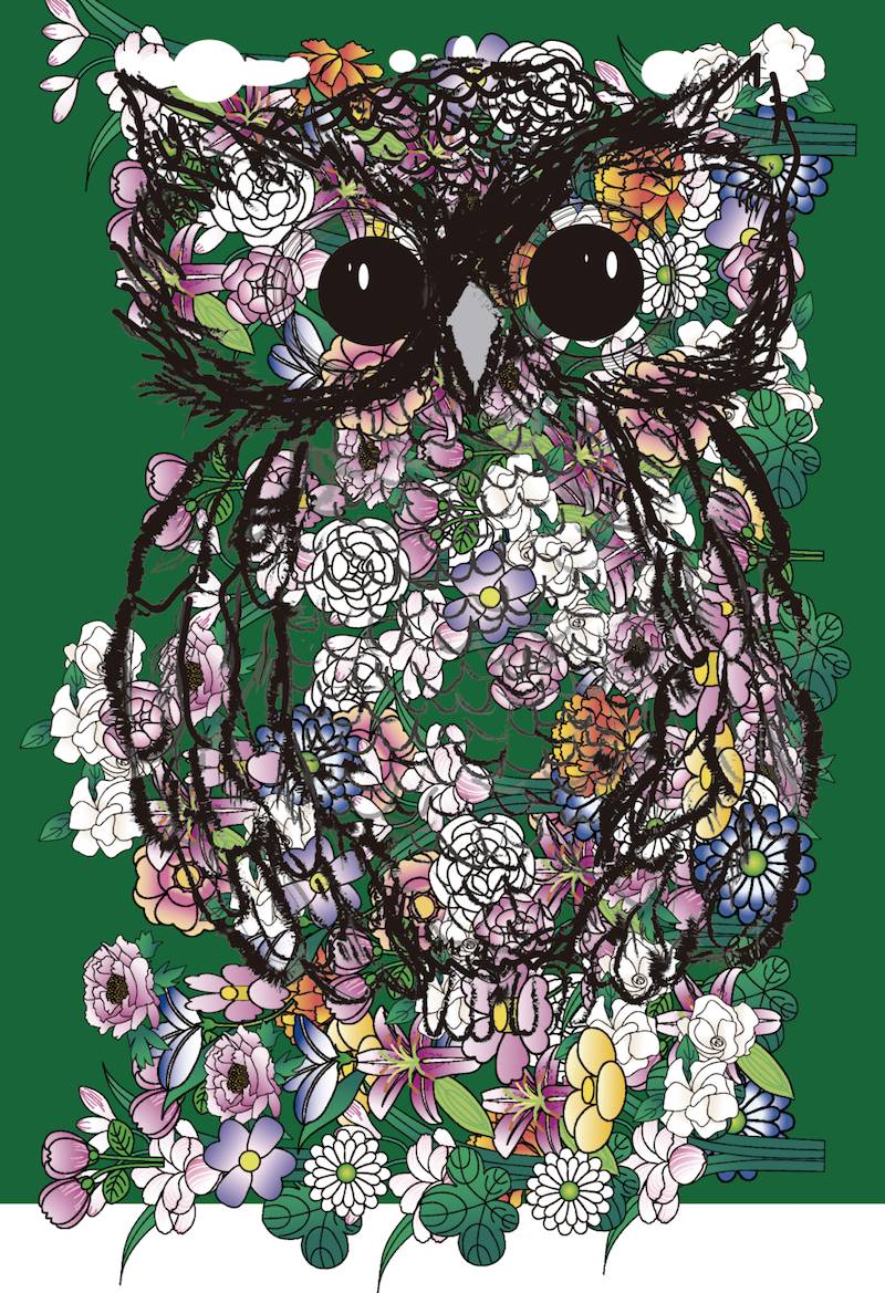 owl art