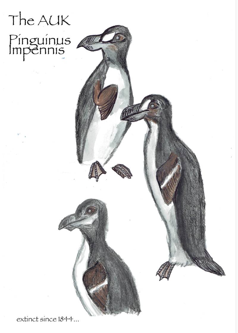 penguins