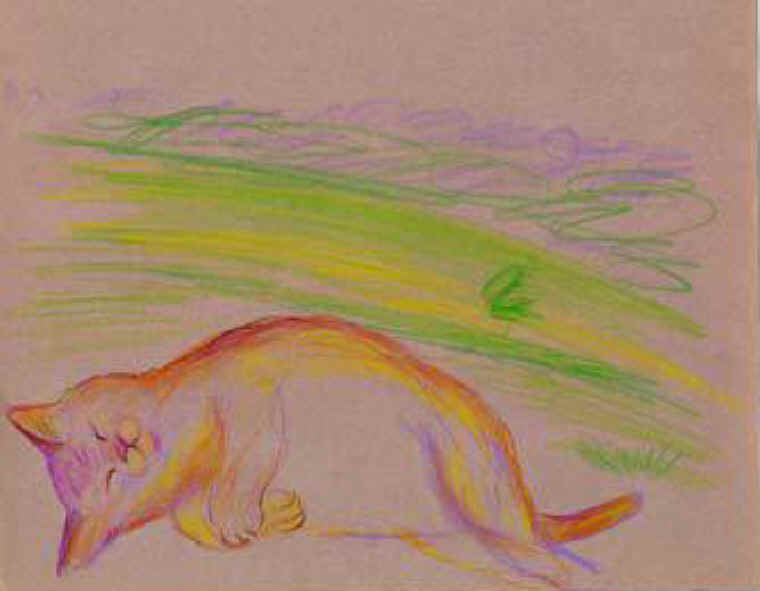 Cats of Binzwagen - 03