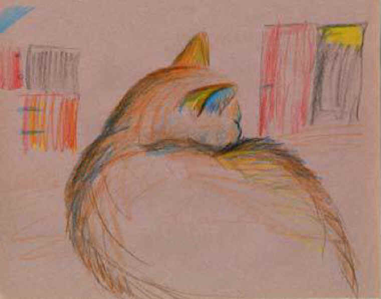 Cats of Binzwagen - 14