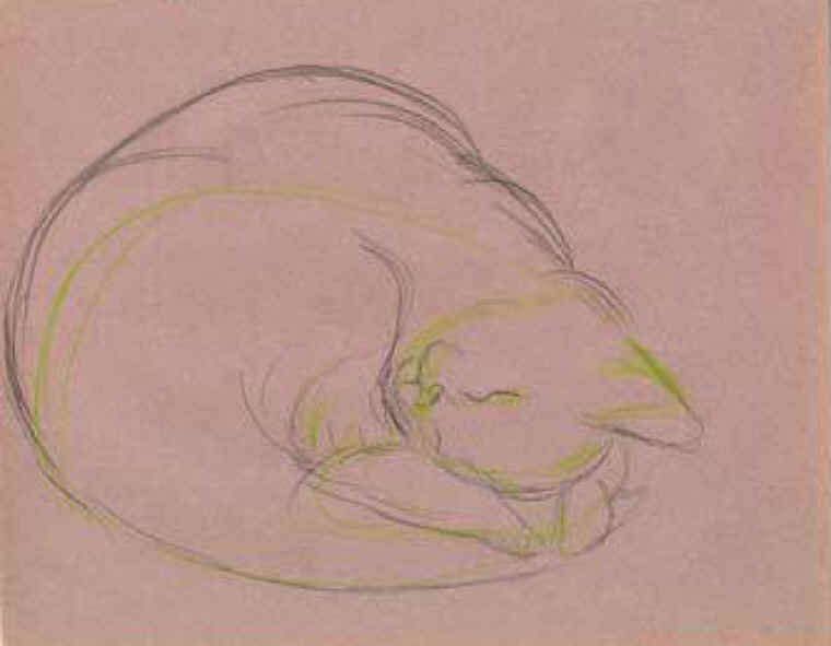 Cats of Binzwagen - 16