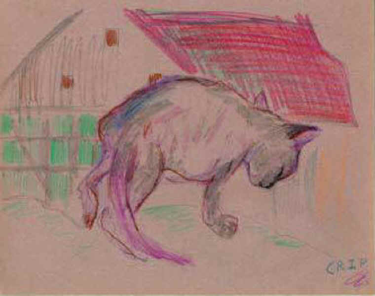 Cats of Binzwagen - 18