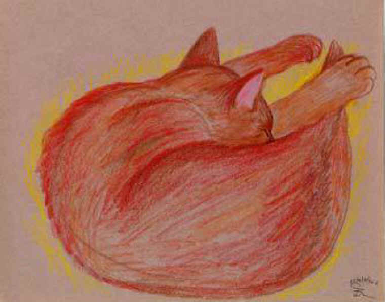 Cats of Binzwagen - 19