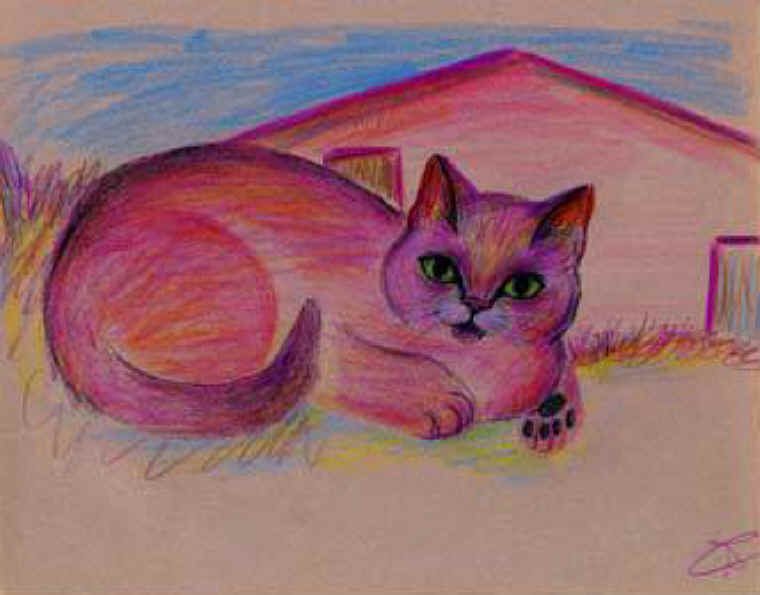 Cats of Binzwagen - 23